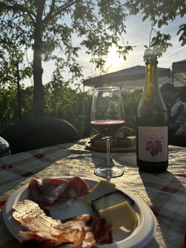 Degustazione en plein air tra i filari del vigneto Gorzoni