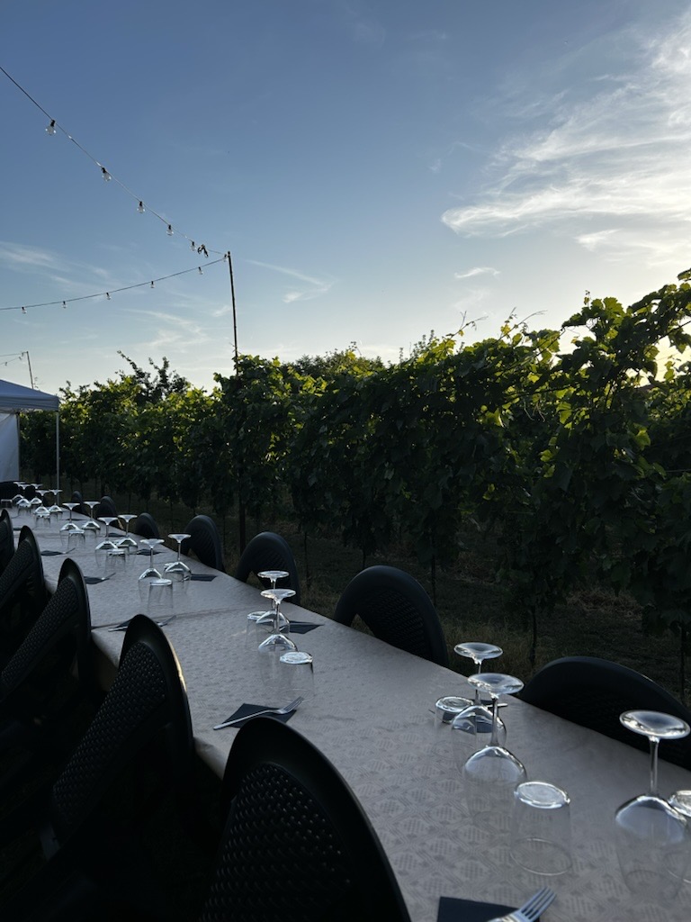 Tavola allestita in vigna Cantina Gorzoni – tramonto sulla pianura