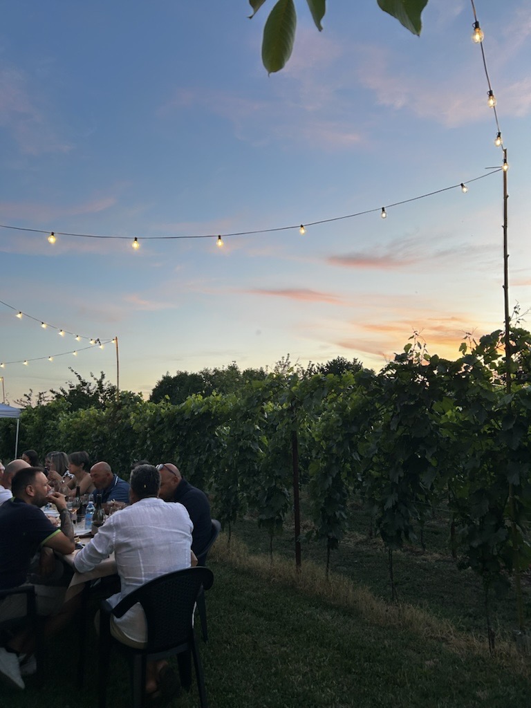Serata in vigna con calici di Crepuscolo a Villimpenta