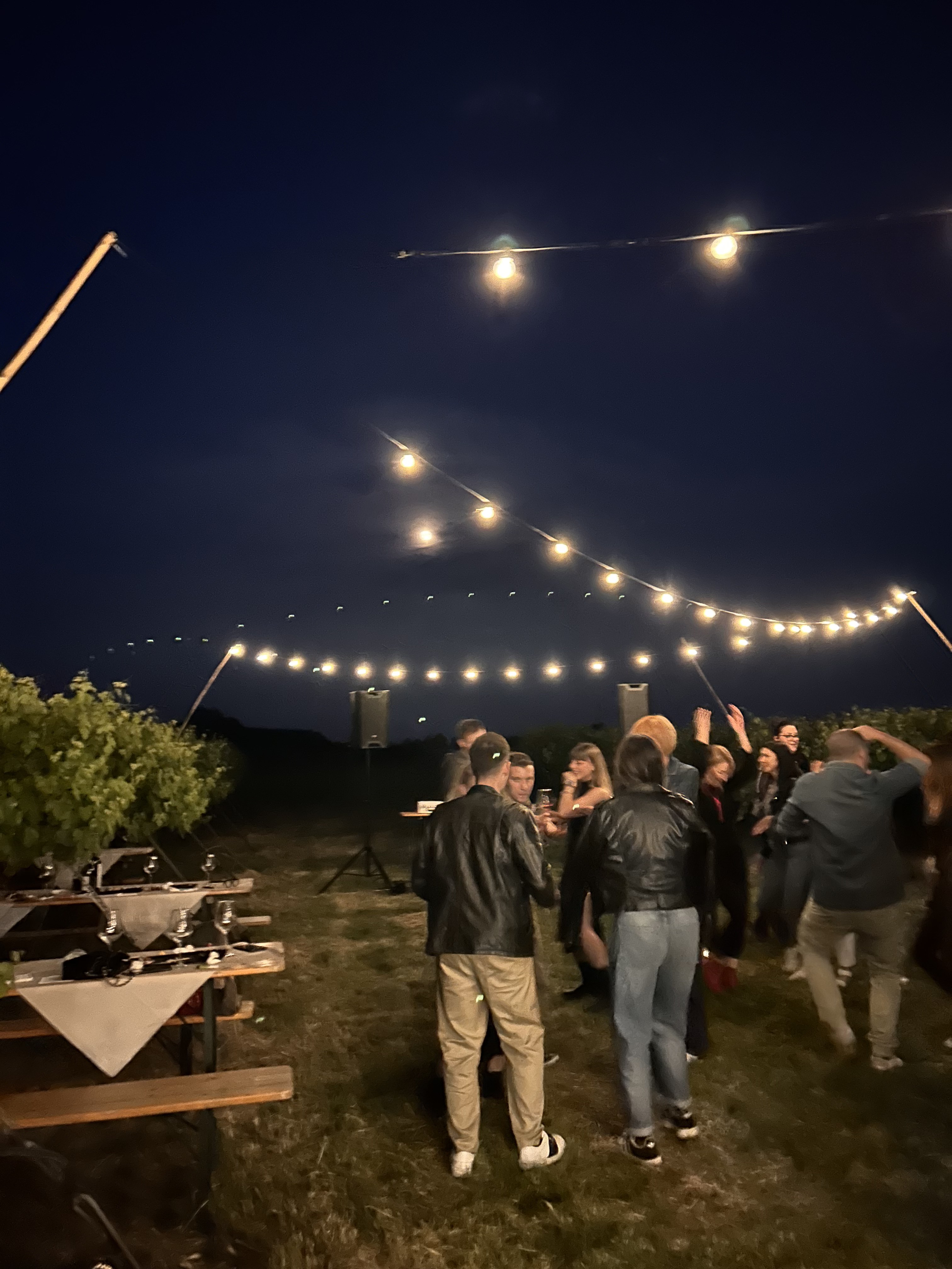 Ospiti che ballano in vigna sotto le luci notturne