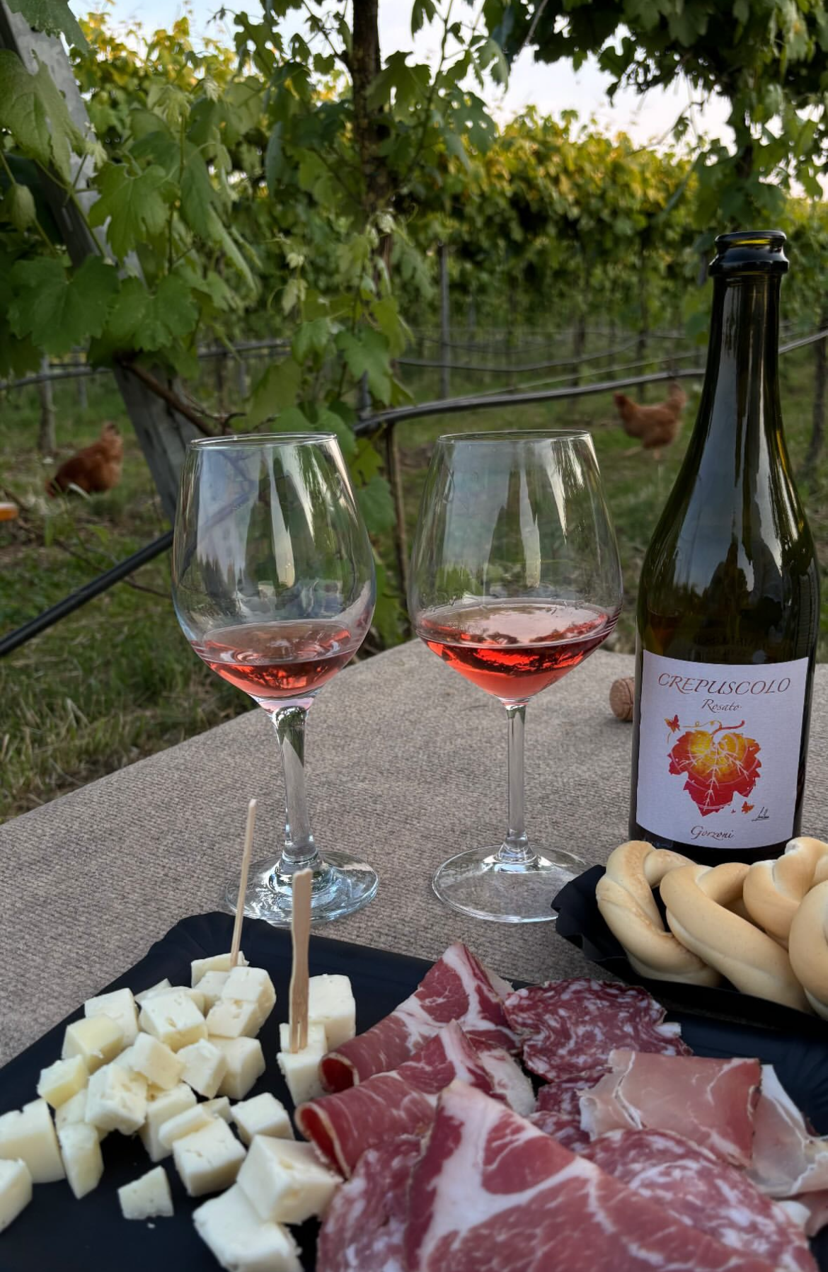 Apericena in vigna Cantina Gorzoni
