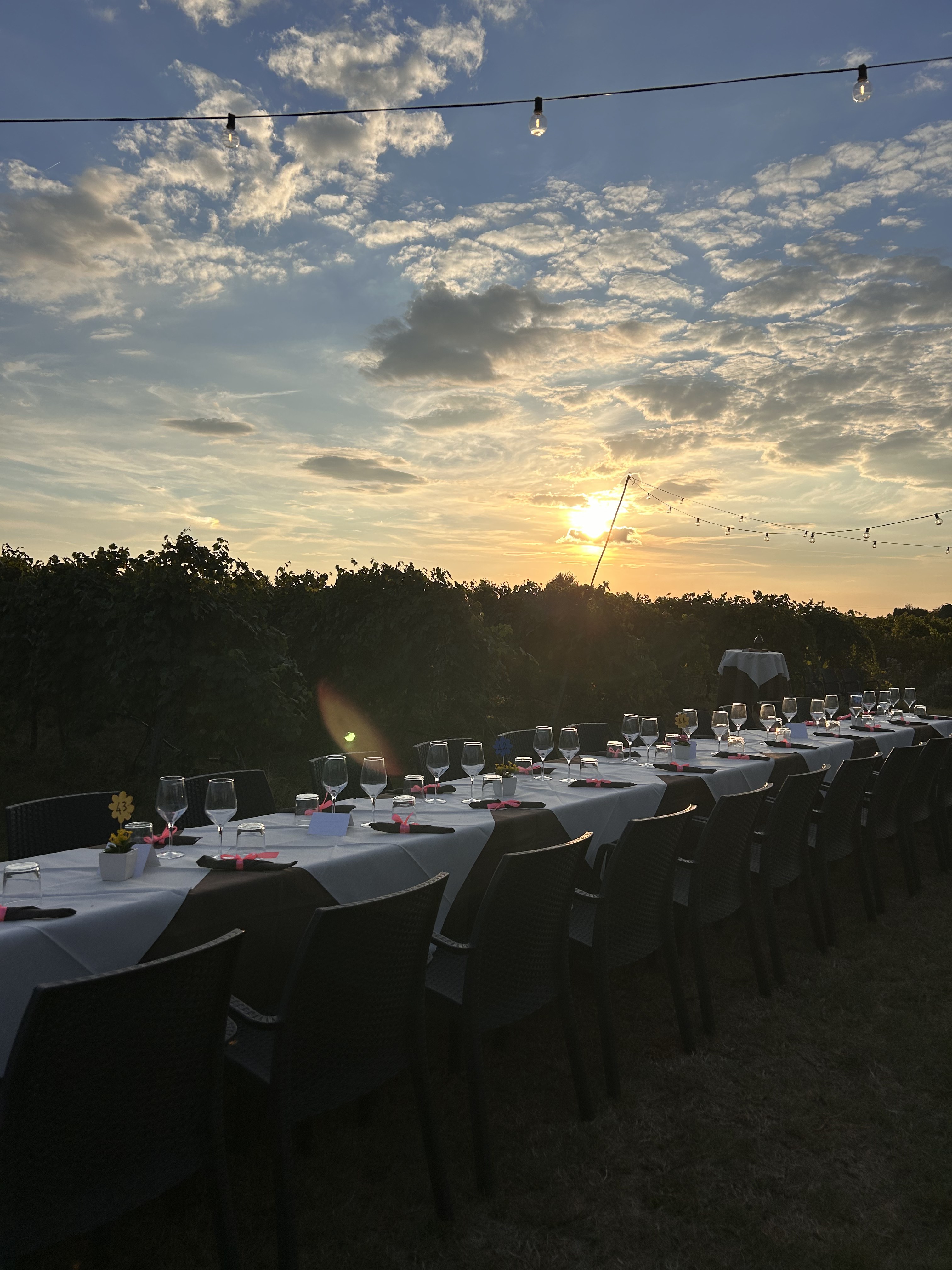 Tavoli apparecchiati in vigna al tramonto con luci sospese