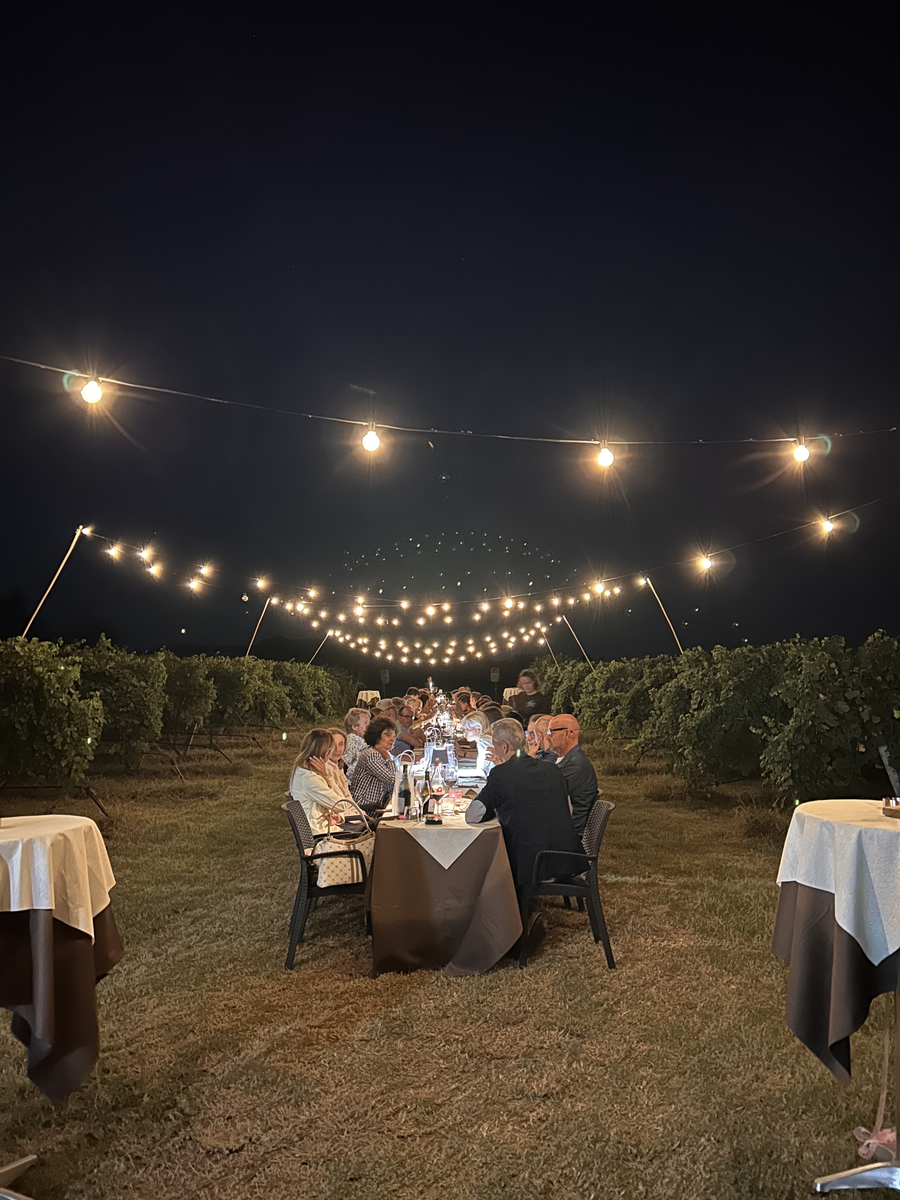 Veduta panoramica della cena notturna in vigna con tavoli e luci