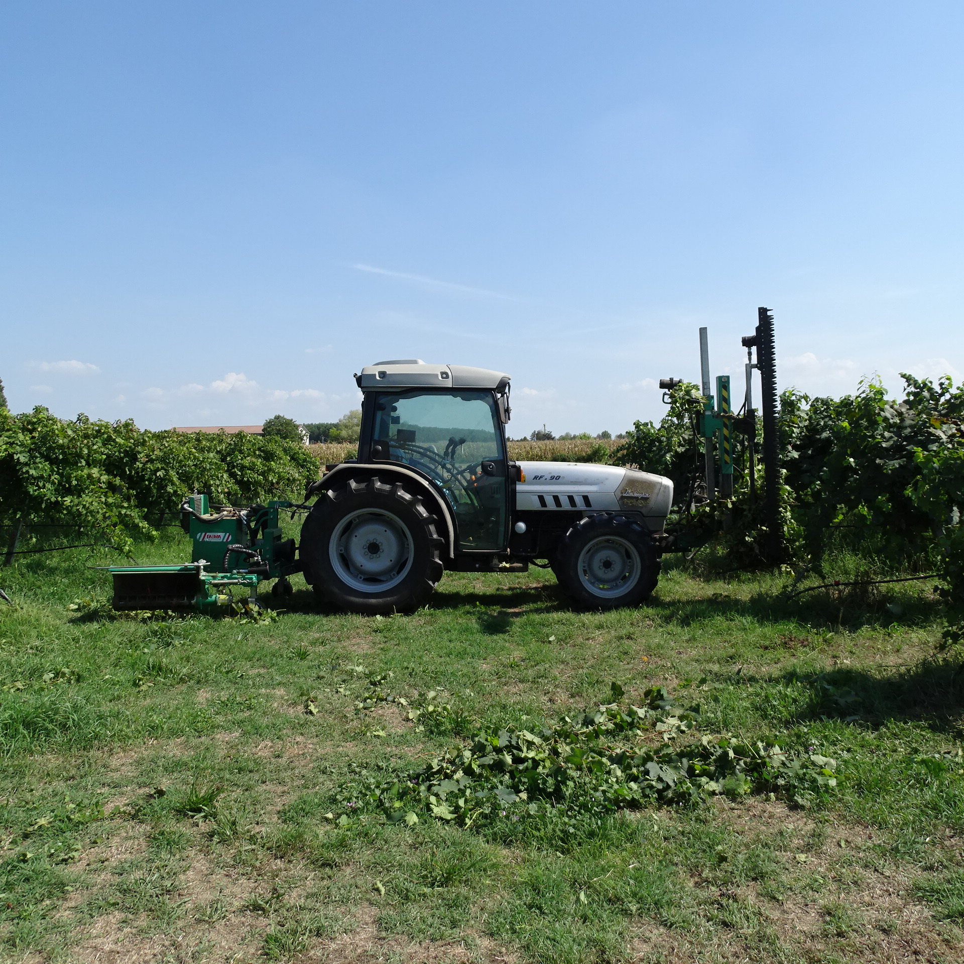 Trattore al lavoro tra i filari del vigneto — agricoltura sostenibile km-zero